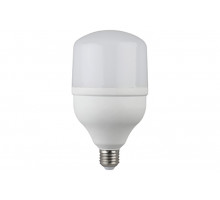 Лампа светодиодная ERA LED smd T-100 POWER 30Вт 170-265В E27 4000К 2400Лм (965)